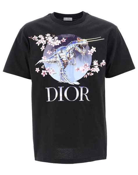 dior t shirt.men|Dior t shirt men's price.